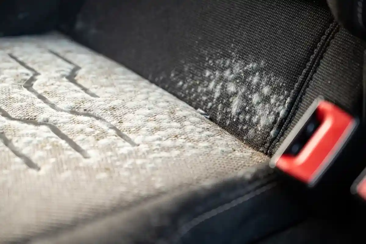 Close-up view of car seat with mould, showing the effectiveness of the best mould cleaner.