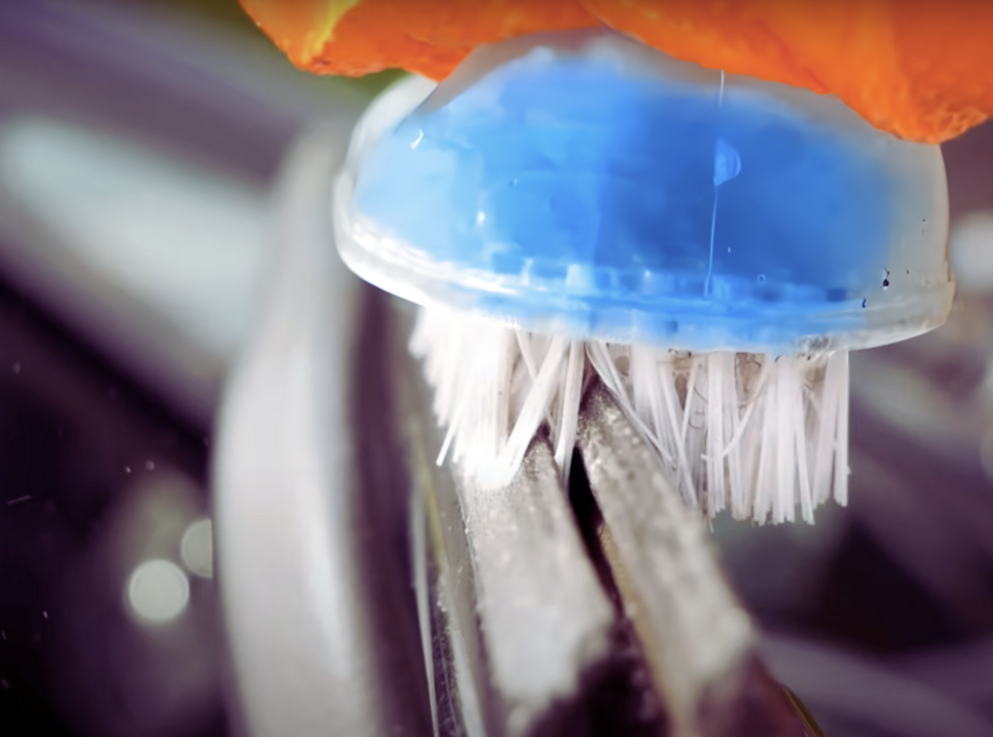 Close-up of a car cleaning brush being used to detail a car's door.